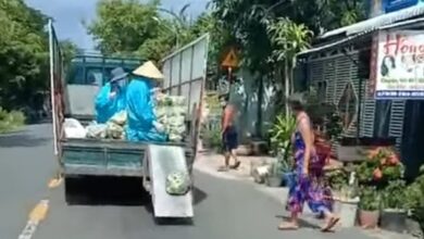 Photo of Ý kiến trái chiều clip xe tải vừa chạy vừa ‘xả’ rau, củ từ thiện cho bà con
