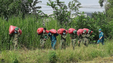 Photo of Bộ đội giúp dân Sài Gòn thu hoạch lúa