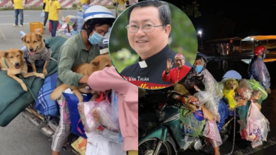 Photo of Linh mục Joseph Le lên tiếng vụ ṯiêu ẖủy 15 chú chó ở Cà Mau